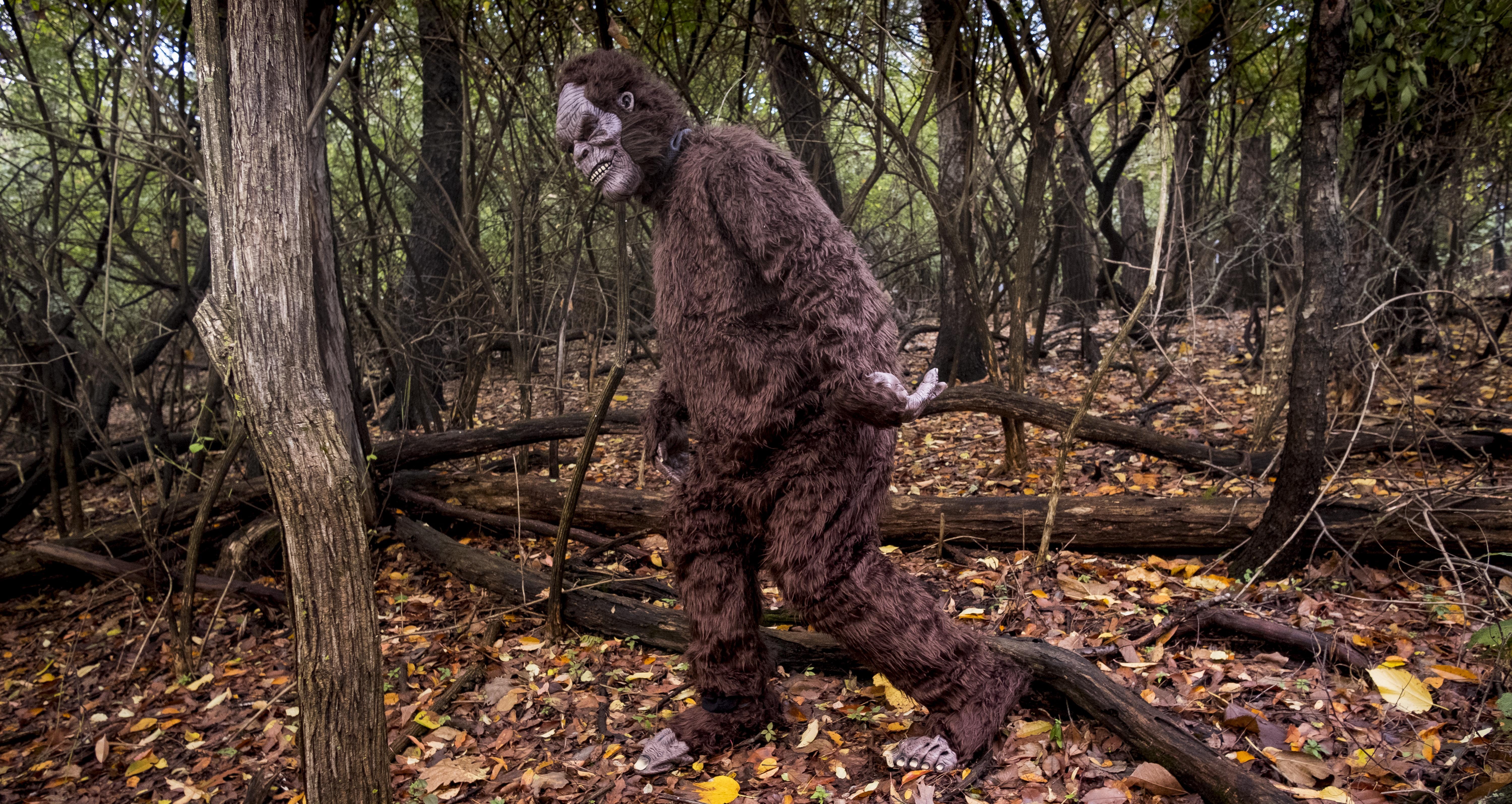 Excursion: Hazelwood Haunted Greenway